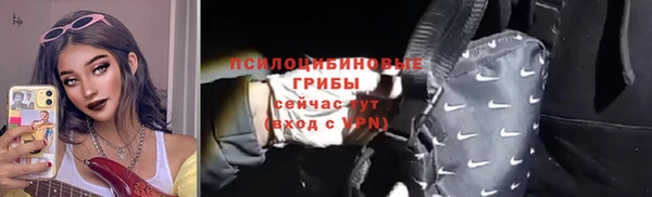 твердый Алзамай