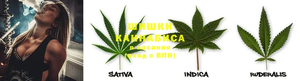 твердый Алзамай