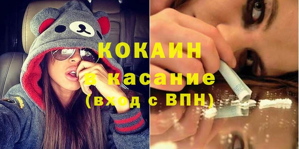твердый Алзамай