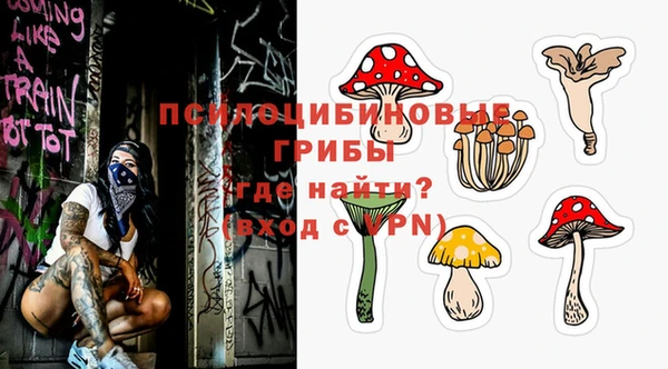 твердый Алзамай