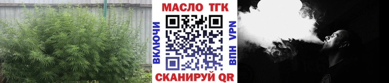 ТГК гашишное масло  где купить   Кола 