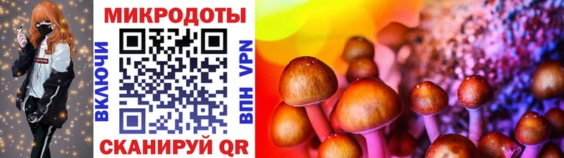 Псилоцибиновые грибы Magic Shrooms  дарнет шоп  Кола 